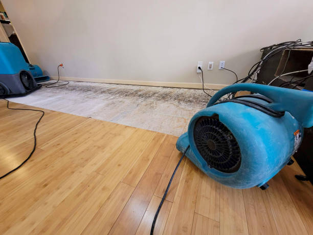 Professional Water Damage Repair technician working in Corona, CA